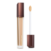 Vanish Airbrush Concealer