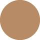 Tan TRUE COLOR Flawless Perfecting Concealer 