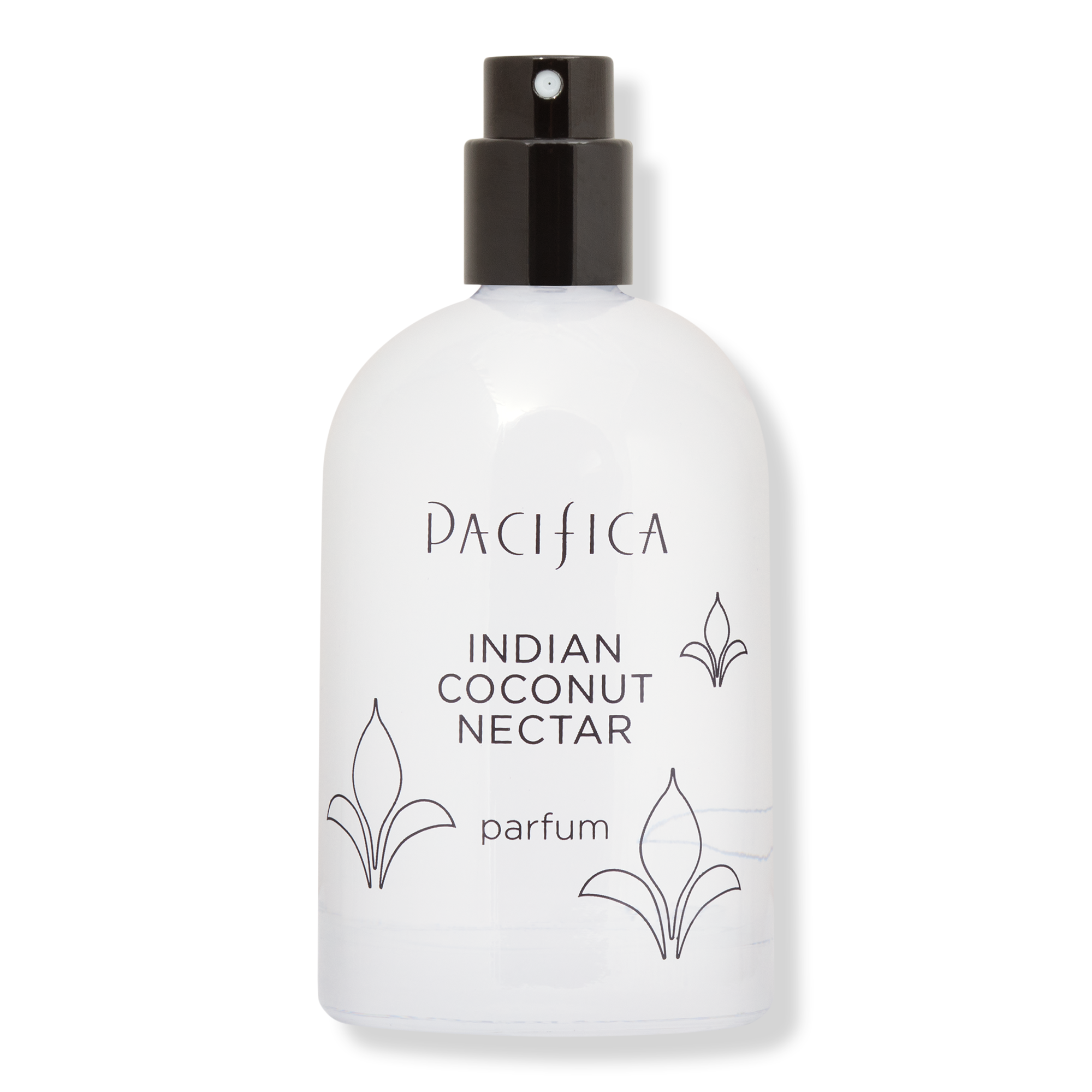 Indian Coconut Nectar