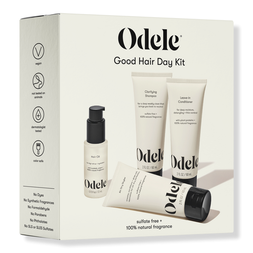 Good Hair Day Kit All Hair Types