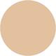 1W0 Warm Porcelain Double Wear Stay-in-Place Longwear Matte Foundation 