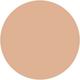 2W1 Dawn Double Wear Stay-in-Place Longwear Matte Foundation 