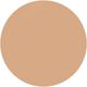 4W2 Toasty Toffee Double Wear Stay-in-Place Longwear Matte Foundation 