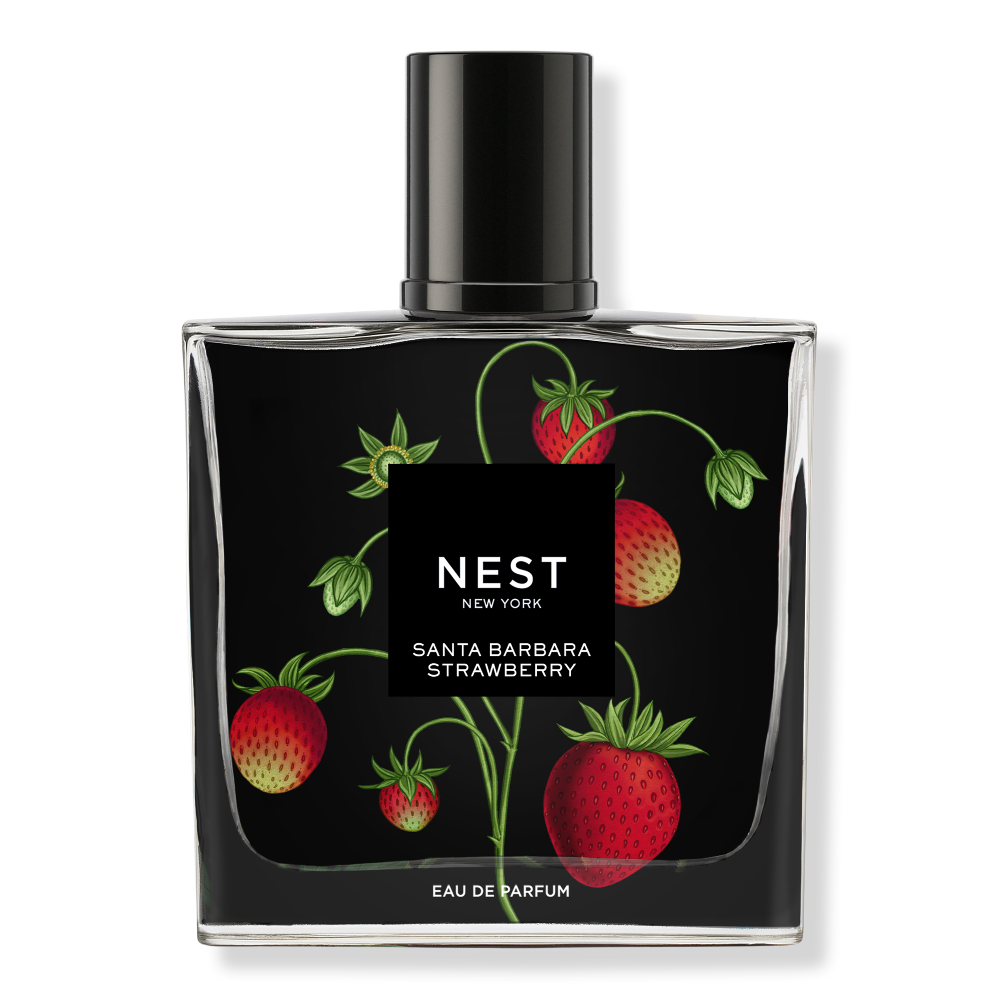 Santa Barbara Strawberry