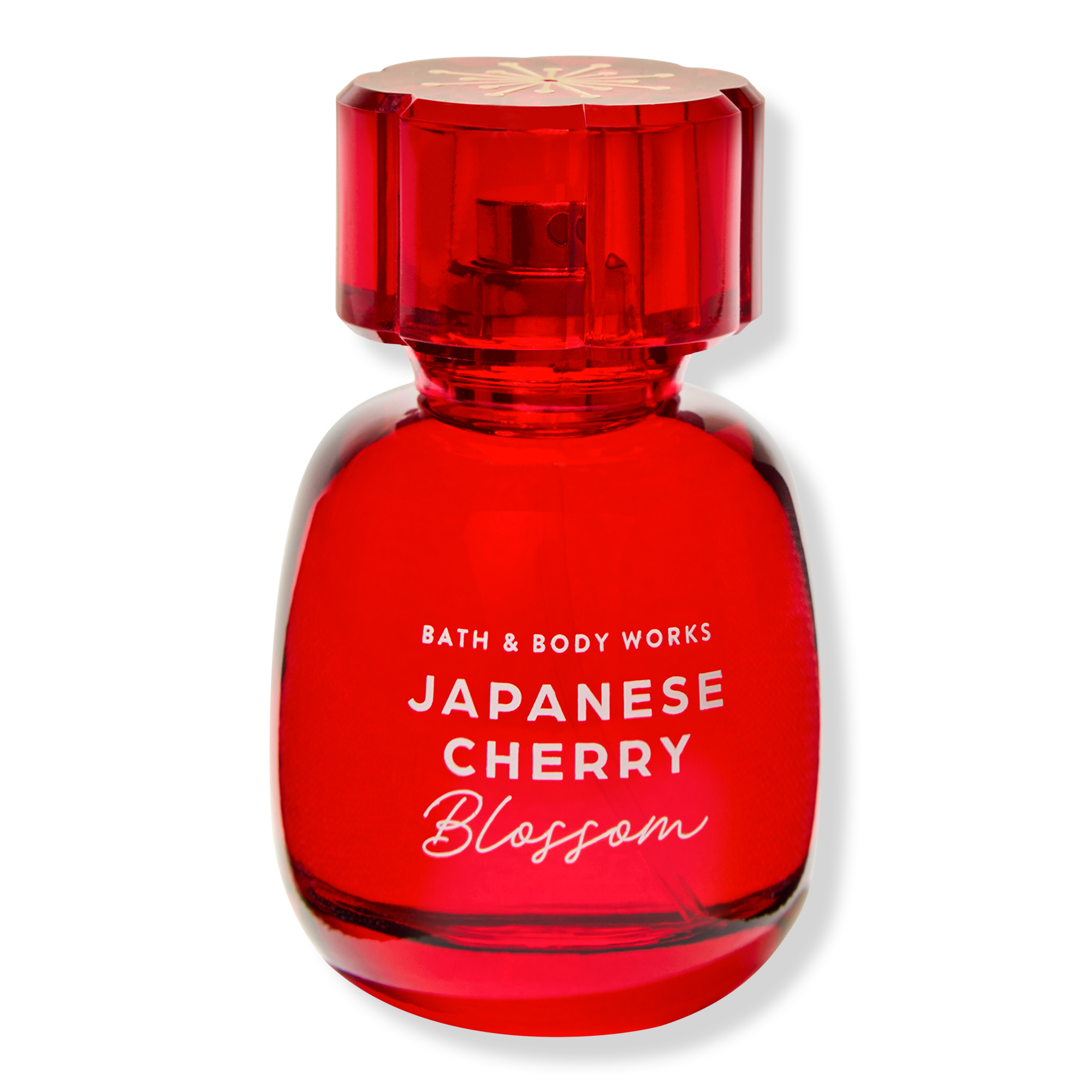 Japanese Cherry Blossom