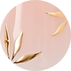 Wherever You Go Core Design Medium Almond Press On Nails 