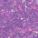 Scarlett the owl Petite Kids Nail Polish, Washable & Kid-Friendly not available