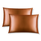 Pumpkin Spice Silk Standard Pillowcase Set 