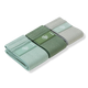Sage Booty Bands Set 
