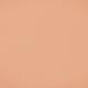 P 06 Digital Complexion Fluid Foundation 