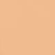 Y 25 Digital Complexion Concealer 