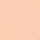 P 03 Digital Complexion Concealer 