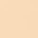 Y 23 Digital Complexion Concealer 