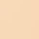 Y 22 Digital Complexion Concealer 