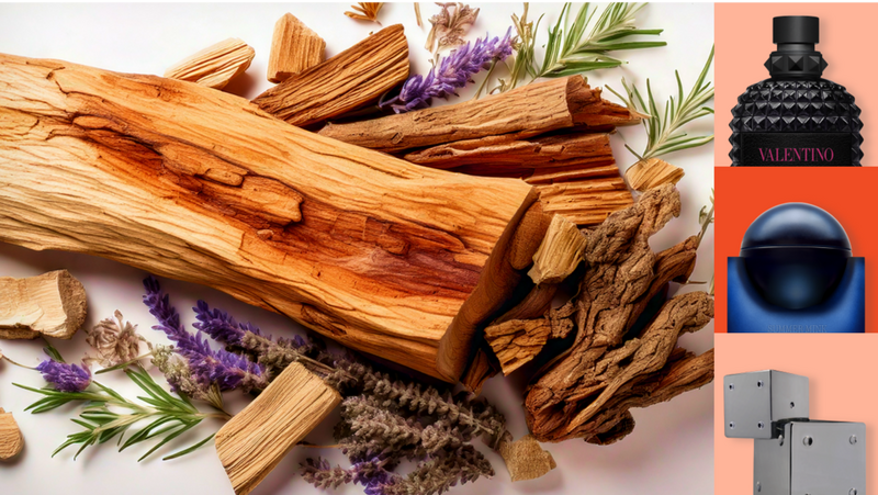 Shop woody fragrances